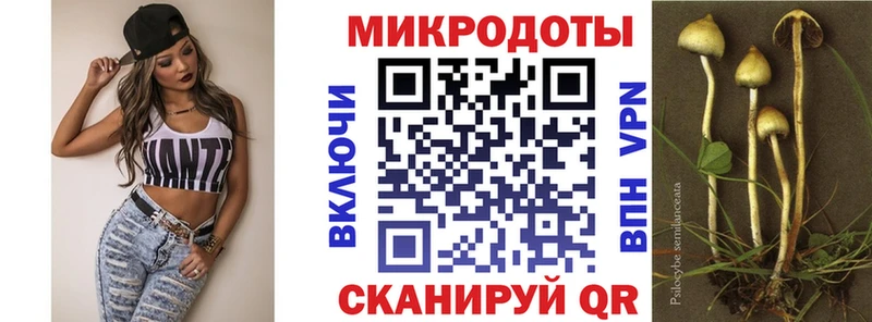 Псилоцибиновые грибы Psilocybine cubensis  продажа наркотиков  ОМГ ОМГ ССЫЛКА  Муравленко 